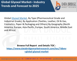 Global Glyoxal Market