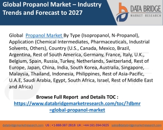 Propanol market