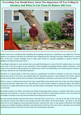 Everything You Should Know About The Importance Of Tree Felling In