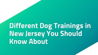 The Best Dog Trainings Services in New Jersey
