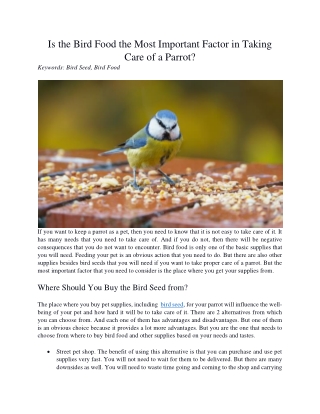 Is the Bird Food the Most Important Factor in Taking Care of a Parrot?
