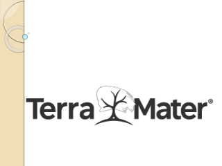 Best Timber Flooring | Terra Mater floors