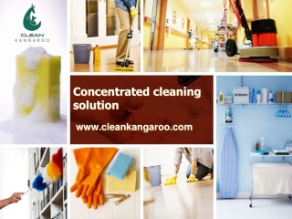 Concentrated cleaning solution-www.cleankangaroo.com