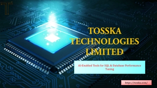 Database Query Optimization Tools by Tosska Technologies