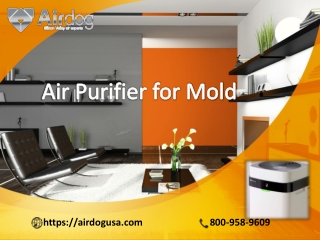 Now Air Purifier for Mold on the Global market | Airdog USA