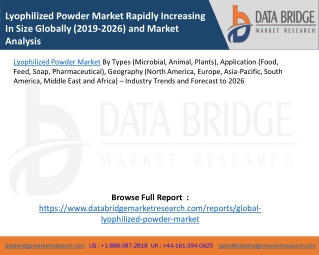 Lyophilized Powder Market Rapidly Increasing In Size Globally (2019-2026) and Market Analysis