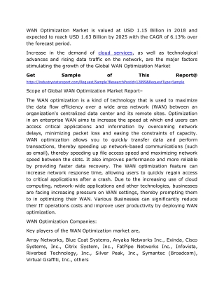 WAN Optimization Market Size 2020: Top Key Players, Revenue, Growth Analysis, Forecast Research Report to 2025