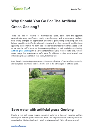 Why Should You Go For The Artificial Grass Geelong?