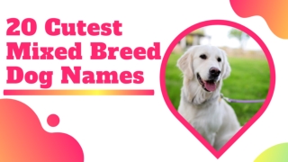 The 20 Cutest Mixed Breed Dog Names 2020 ! unique dog names