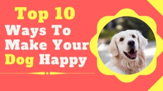 Top 10 Surprising Ways To Make Your Dog Happy 2020 ! Dog Health Tips