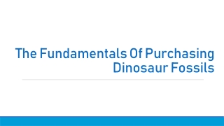 The Fundamentals Of Purchasing Dinosaur Fossils