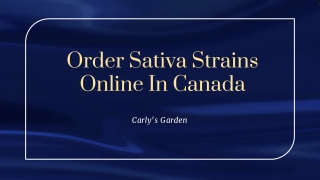 Order Sativa Strains Online In Canada - Carly's Garden
