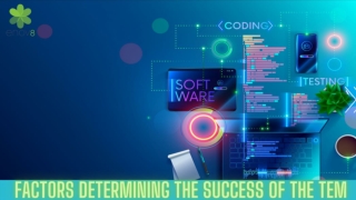 Factors Determining The Success Of The TEM