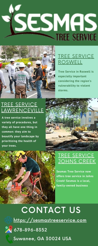 Sesmas Tree Service in Roswell