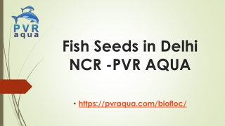 Fish Seeds in Delhi NCR -PVR AQUA