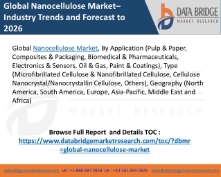 Nanocellulose market