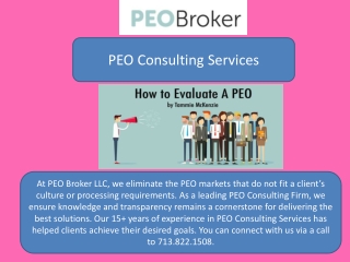 PEO Consulting Services