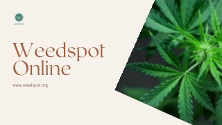 Buy CBD Girl Scout Cookies Online from Weedspot Store