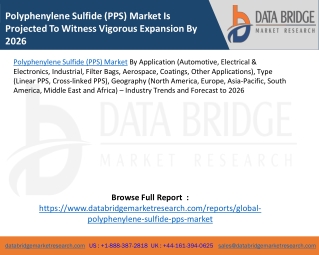 Polyphenylene Sulfide (PPS) Market Is Projected To Witness Vigorous Expansion By 2026