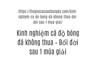 Kinh nghiệm cá độ bóng đá không thua – Đổi đời sau 1 mùa giải