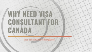 Why need Visa Consultant For Canada