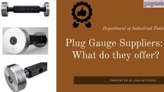 Best Plug Gauge Suppliers: What do they offer?