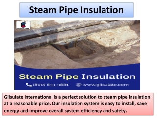 Steam Pipe Insulation