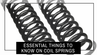 Perfect Coil Springs for Thermal