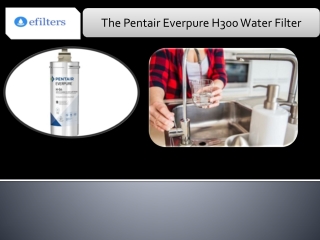 The Pentair Everpure H300 Water Filter