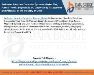 Perimeter Intrusion Detection Systems Market Size, Future Trends, Segmentation, Opportunity Assessment and Potential of