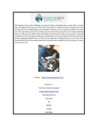 Online Vancouver Animal Emergency | Point Grey Veterinary Hospital Vancouver