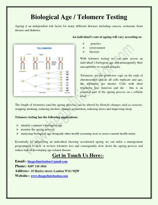 Biological Age / Telomere Testing