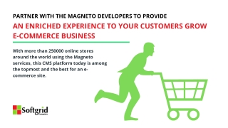 Partner with the Magneto Developers to Provide an Enriched Experience to Your Customers Grow E-Commerce Business