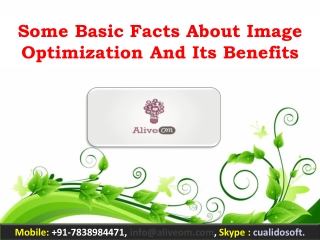 Some Basic Facts About Image Optimization And Its Benefits