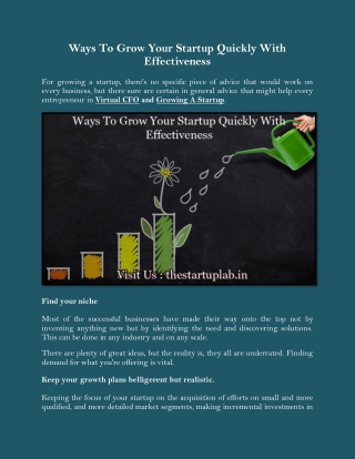 Ways To Grow Your Startup Quickly With Effectiveness