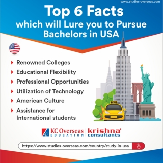 Top 6 Facts which will Lure you to Pursue Bachelors in US