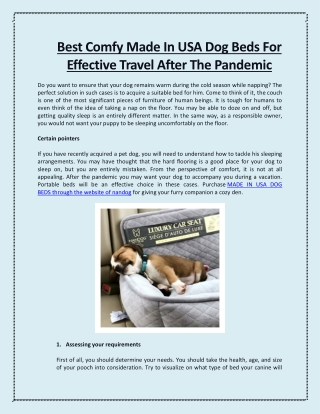 Best Comfy Made In USA Dog Beds For Effective Travel After The Pandemic