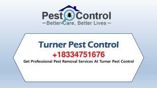 Get Quality pest control from Turner Pest Control service