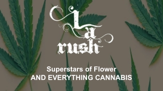 Edibles Delivery Canoga Park - LA Rush