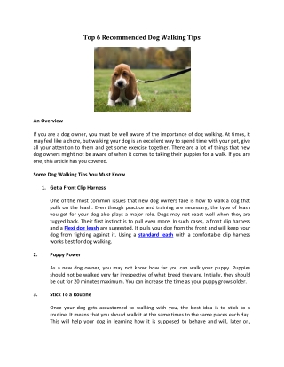 Top 6 Recommended Dog Walking Tips