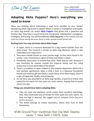 Adopting Akita Puppies? Here's everything you need to know