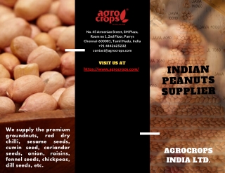 One of The Best Indian Peanuts Supplier