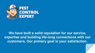Affordable Pest Control Services - Pest Control Expert