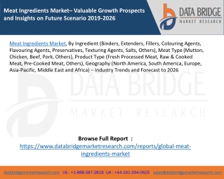 Meat Ingredients Market– Valuable Growth Prospects and Insights on Future Scenario 2019-2026