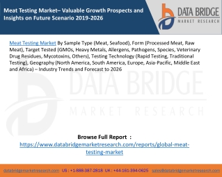 Meat Testing Market– Valuable Growth Prospects and Insights on Future Scenario 2019-2026