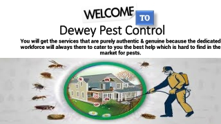 Dewey Pest Control offers permanent pest removal services