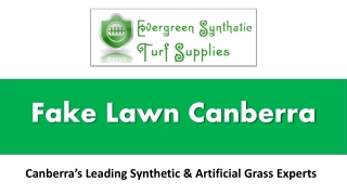 What is Fake Lawn Canberra