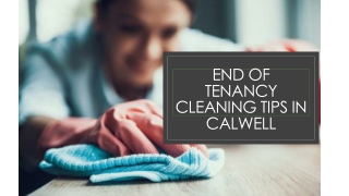 End of Tenancy Cleaning Tricks in Calwell
