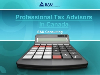 Professional Tax Advisors In Canada- SAU Consulting