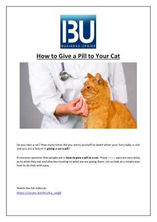 How to Give a Pill to Your Cat